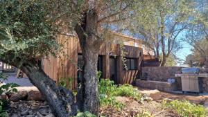 Nawelle EL KHOUROUJ - ATELIER NEA